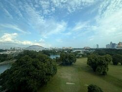 The Riverine By The Park (D12), Apartment #602834811